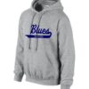 Hoody- Logo #10